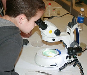 Microscope Madness!